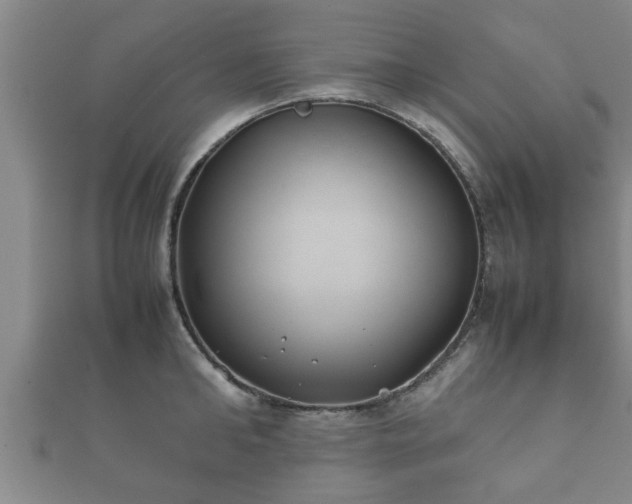 X0000112400902200908211113