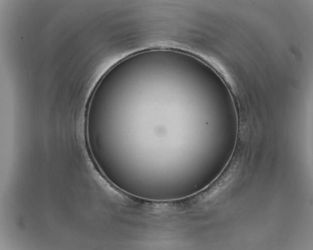 X0000112400903200908211113