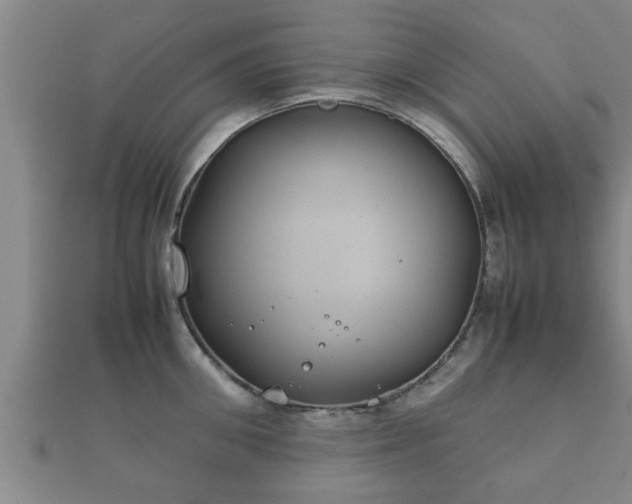 X0000112400906200908211112