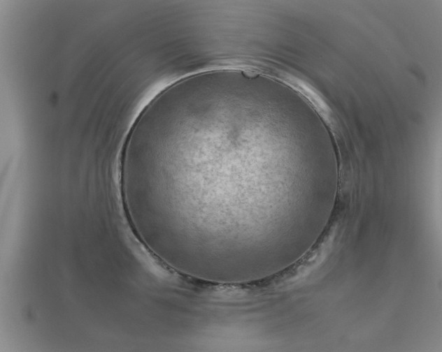 X0000112400907200908211112