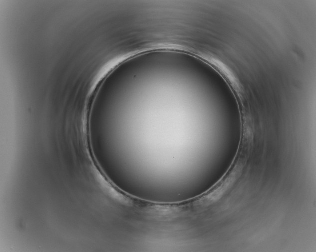 X0000112400910200908211112