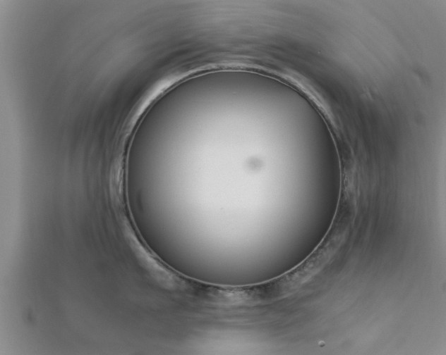 X0000112400911200908211112