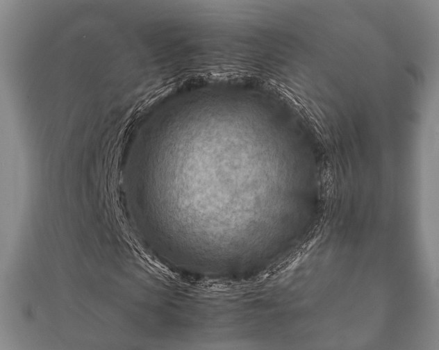 X0000112400913200908211112