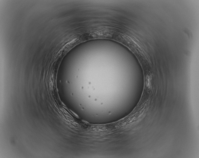 X0000112400915200908211112