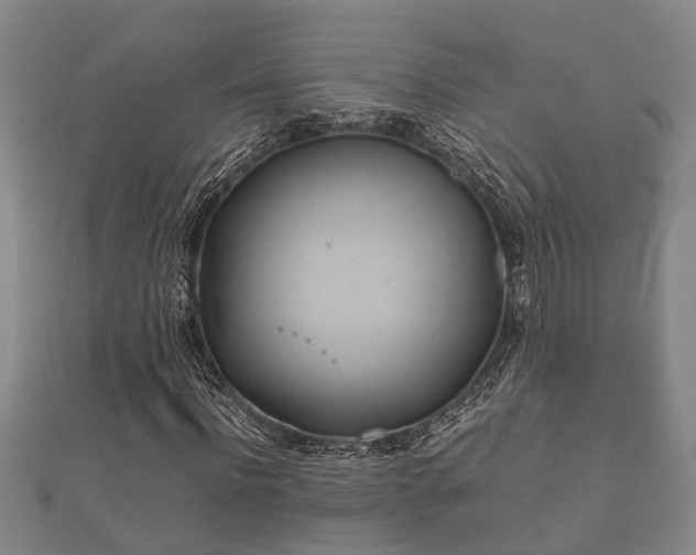 X0000112400916200908211112