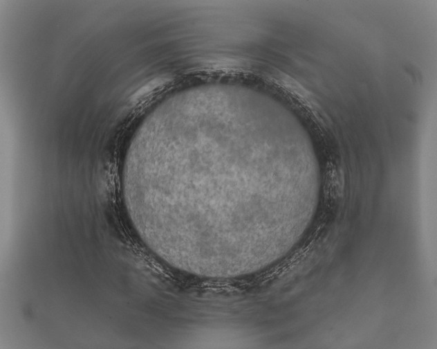 X0000112400918200908211112