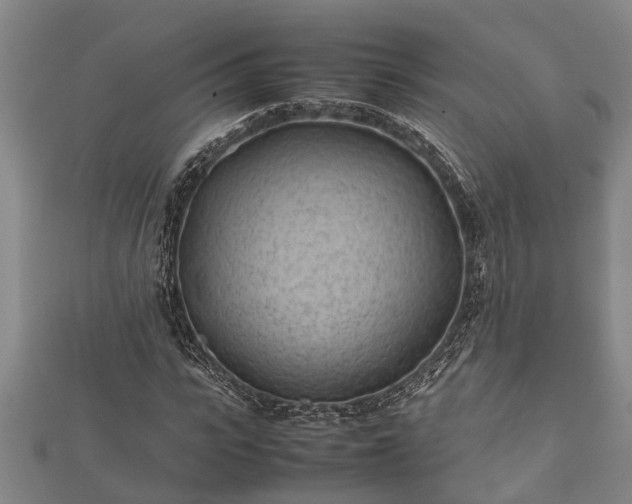 X0000112400919200908211112