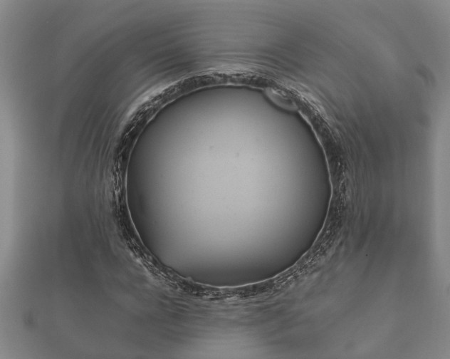 X0000112400920200908211112