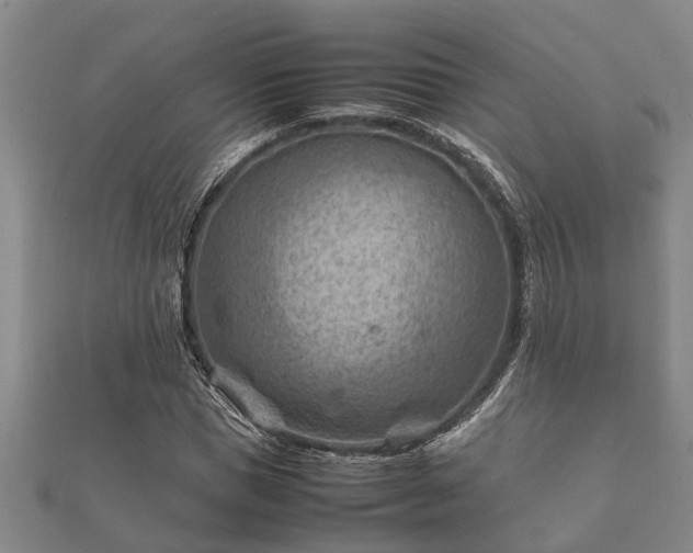 X0000112400921200908211112