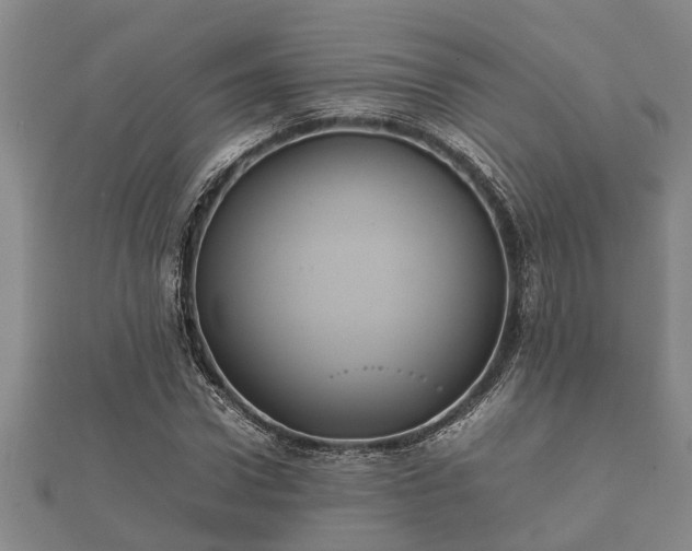 X0000112400922200908211112