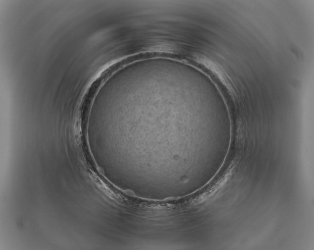 X0000112400923200908211112