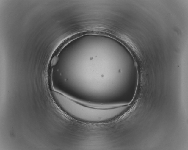 X0000112400924200908211112