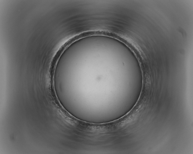 X0000112400927200908211112