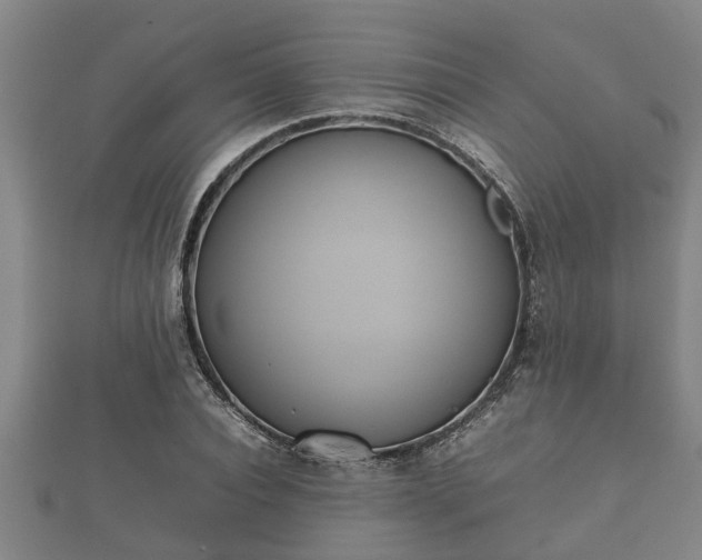 X0000112400928200908211112