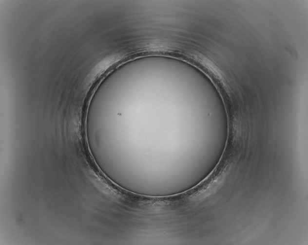 X0000112400930200908211112