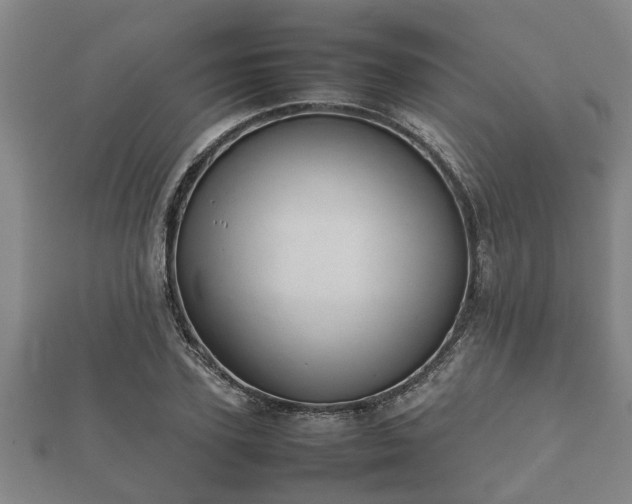 X0000112400931200908211112