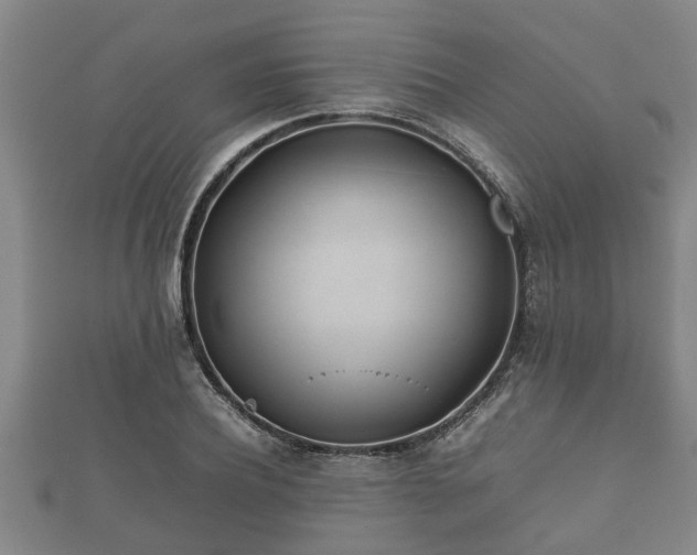 X0000112400932200908211112