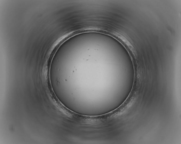 X0000112400933200908211112