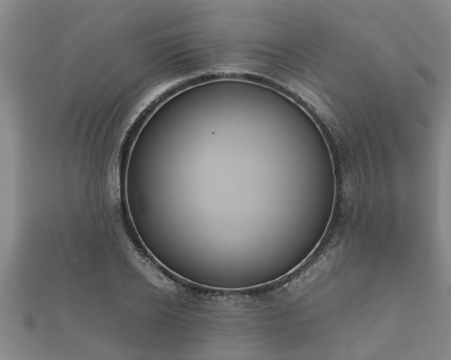 X0000112400934200908211112