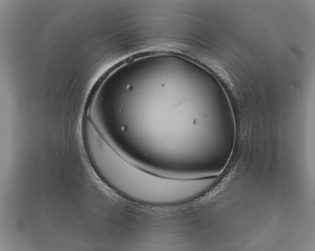 X0000112400936200908211112