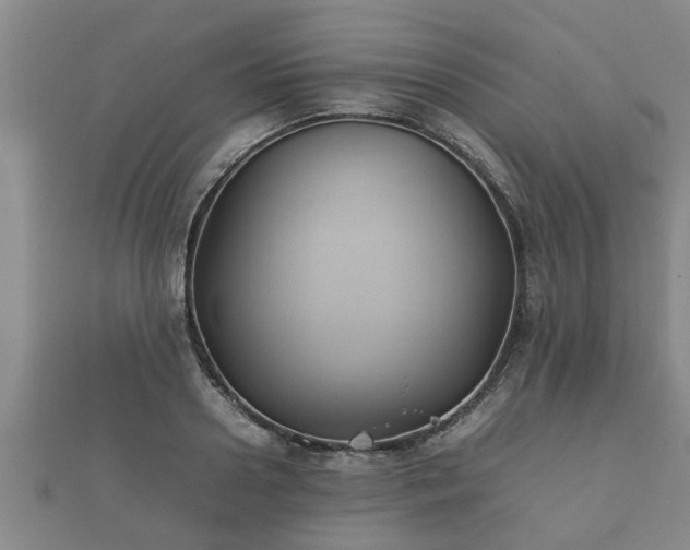 X0000112400938200908211112