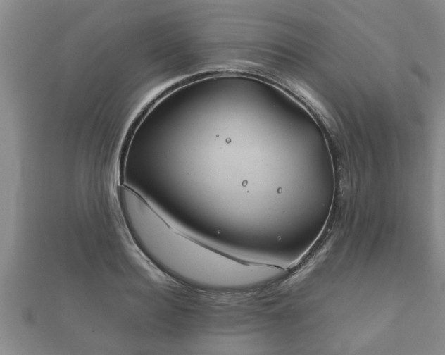 X0000112400940200908211112