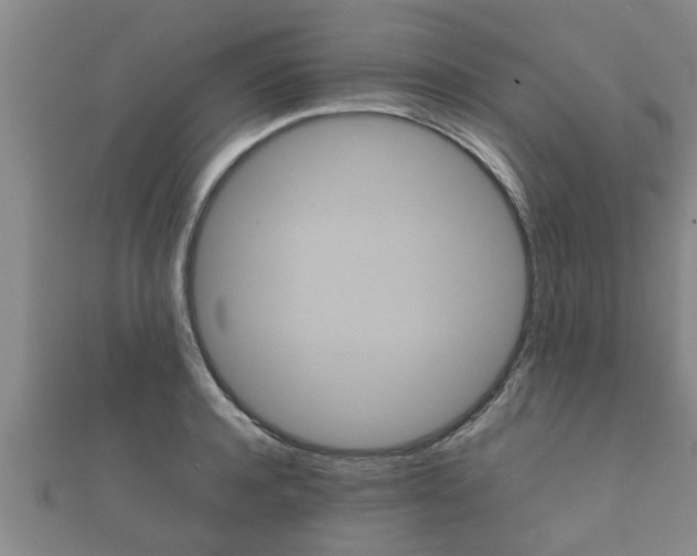 X0000112400944200908211112