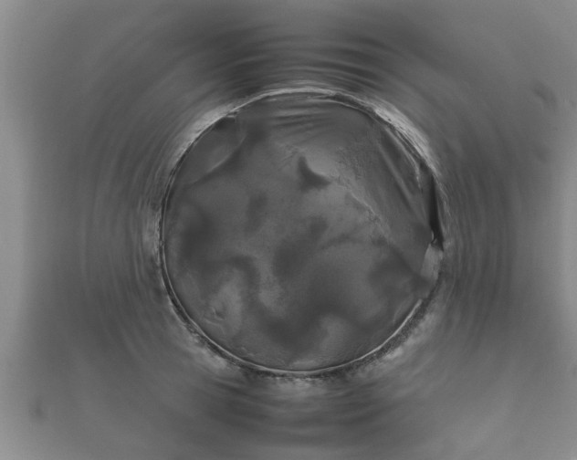 X0000112400945200908211112
