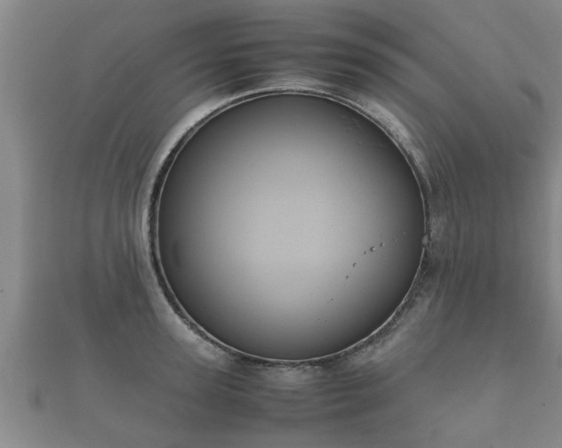X0000112400947200908211112