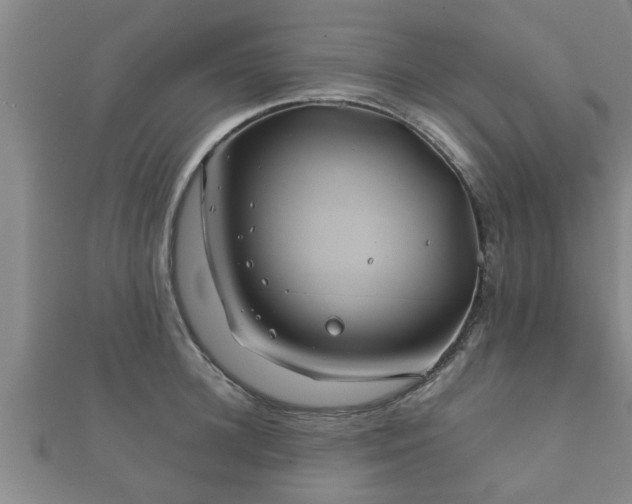 X0000112400948200908211112