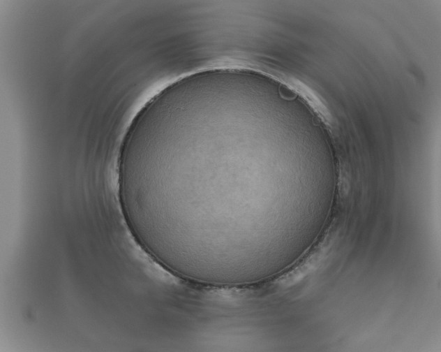 X0000112400950200908211112