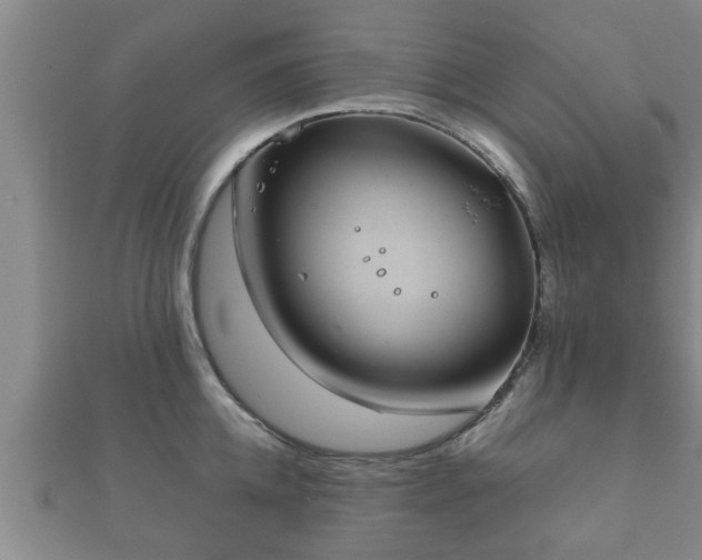 X0000112400952200908211112