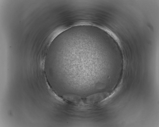X0000112400953200908211112