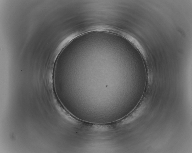 X0000112400954200908211112
