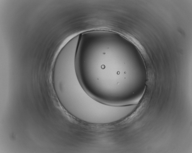 X0000112400956200908211112