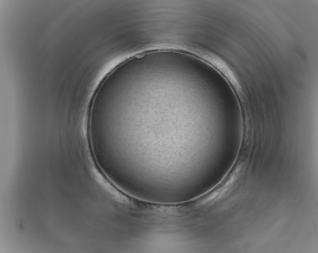 X0000112400958200908211112