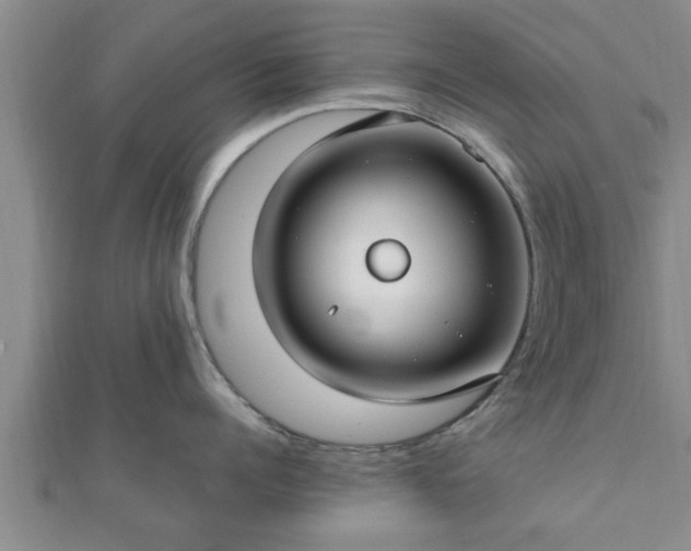 X0000112400960200908211112