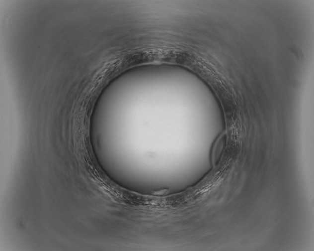 X0000112400961200908211112