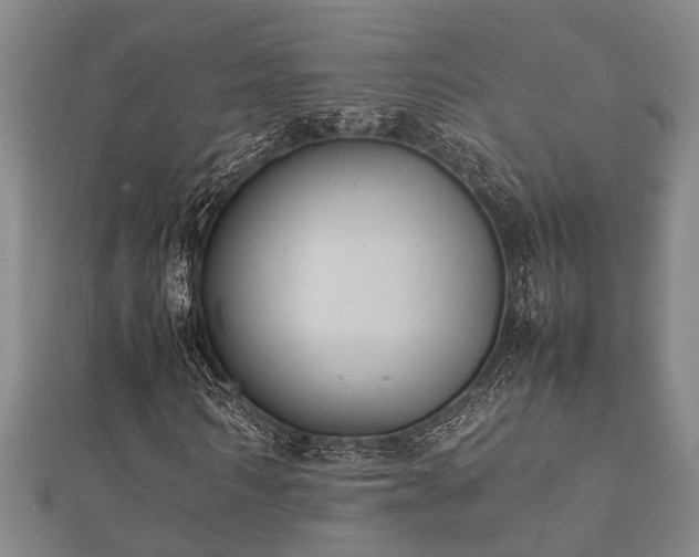 X0000112400962200908211112