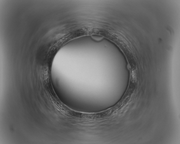 X0000112400963200908211112