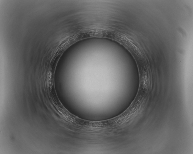 X0000112400964200908211112