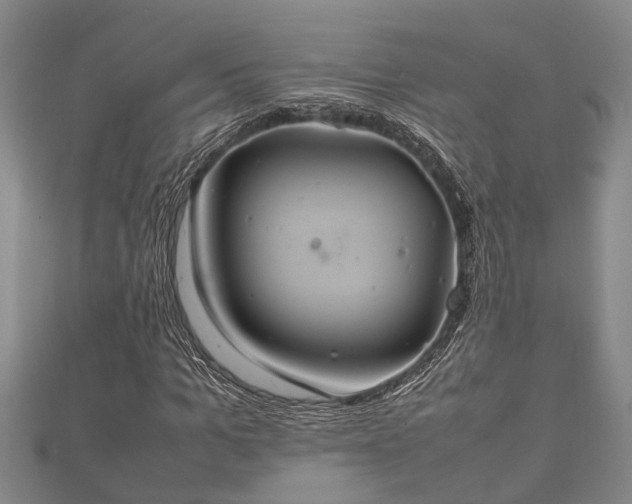 X0000112400965200908211112