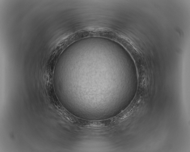 X0000112400966200908211112