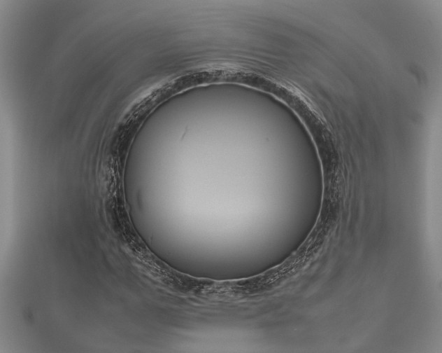 X0000112400967200908211112