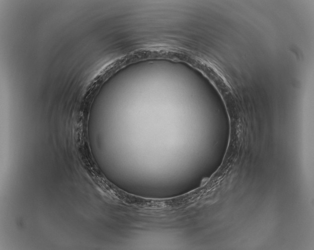 X0000112400968200908211112