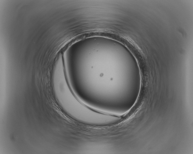X0000112400969200908211112