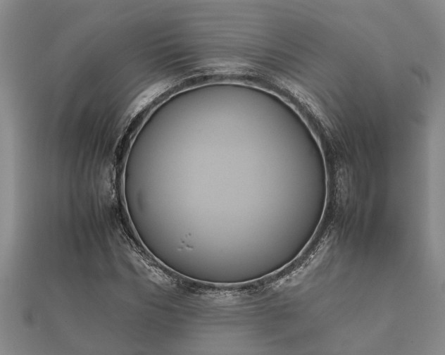 X0000112400970200908211111
