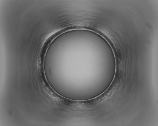 X0000112400971200908211111