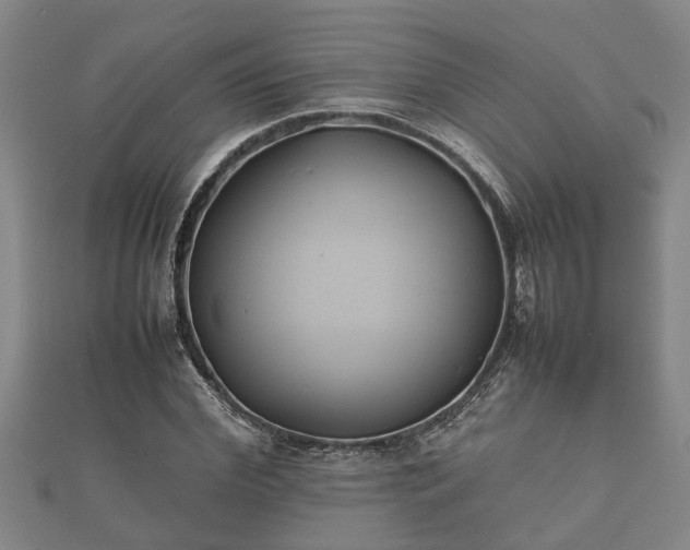 X0000112400972200908211111