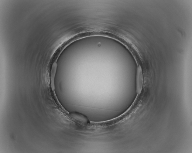 X0000112400973200908211111